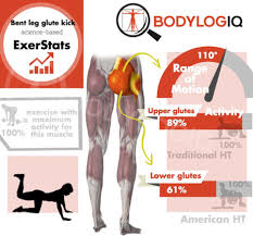 Female hip muscles diagram ~ anatomy of the male and female pelvis comprehensive orthopaedics. The Best Exercises For The Glutes