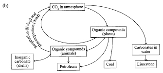 Cbse Sample Papers For Class 9 Science Paper 2 A Plus Topper In 2020 Sample Paper Previous Year Question Paper Question Paper