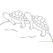 When you color a turtle picture, whether from a coloring book or printable coloring pages, you need a large colored pencil or crayon collection to create the vast range of hues that appear on turtles. Turtle Coloring Pages For Kids Printable Free Download Coloringpages101 Com