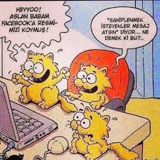 Kedi Kedi Miyav Dedi Panosundaki Pin