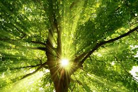 Part 1 gently strides along with light and airy streams of dubby goodness. Wie Der Mensch In Der Natur Kraft Schopft We Love Nature Magazine