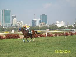 Royal Western India Turf Club Mumbai 2021 All You Need To Know Before You Go With Photos Tripadvisor Races mumbai winter races to begin at pune from nov. tripadvisor
