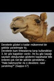 Muhtesem Biliyor Muydunuz Bilgi Karti Bilgi