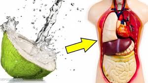 Maybe you would like to learn more about one of these? Tak Hanya Perkuat Imun Tubuh Di Tengah Ganasnya Covid 19 Ada 3 Manfaat Hebat Minum Air Kelapa Tribunstyle Com