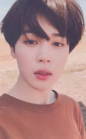 Jimin Love Yourself 轉 Tear Photocard Version Y Jimin Bts Jimin Park Jimin