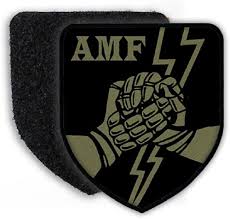 AMF Allied Command Europe Mobile Forces Badge ACE Campbell Barracks USA UA  Army Bundeswehr NATO Fire Department Canada Italy Great Britain Camouflage 
