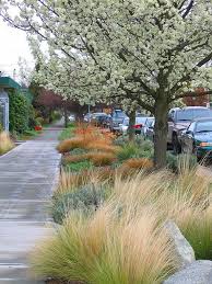 Full Bloom Landscape Design Xeriscape Outdoor Gardens