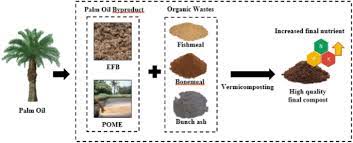 Oil is absorbed into fruit bunches during the crude palm oil extraction process. Mixed Composting Of Palm Oil Empty Fruit Bunch Efb And Palm Oil Mill Effluent Pome With Various Organics An Analysis On Final Macronutrient Content And Physical Properties Springerlink