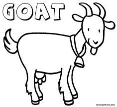 To print the coloring page: Free Goat Coloring Pages Novocom Top