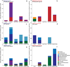 Bacterial Photosynthesis And Carbon Fixation Gene Abundance