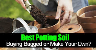 Check spelling or type a new query. The Best Potting Soil Buying Bagged Or Make Your Own
