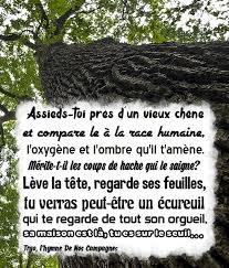 Epingle Sur Sagesse Reflexions Creations