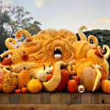 Image result for giant pumpkin