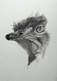 Intro To Charcoal Easy Things To Draw Cizim Hayvan Resim