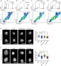 Maybe you would like to learn more about one of these? Systematic Identification Of Factors Bound To Isolated Metaphase Esc Chromosomes Reveals A Role For Chromatin Repressors In Compaction Biorxiv