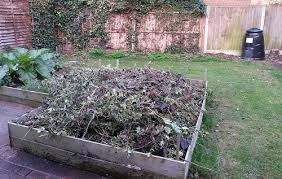 The only way you can stop them from entering is by sealing any rat entry points! Rats In The Garden Identification Treatment Prevention Methods