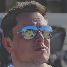 Tammy Bednar (@BednarTammy)