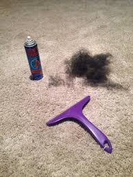 Static Guard Squeegee Getting Stubborn Pet Hair Out Of Thick Carpets And Furniture Works Carpet Cleaning Hacks Diy Cleaning Products How To Clean Carpet