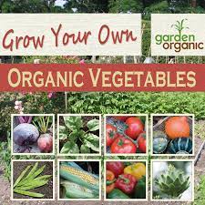 Learn the basics here and avoid mistakes many beginners make. Grow Your Own Organic Vegetables With Garden Organic Amazon De Apps Fur Android