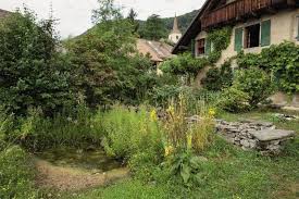 Planter Une Haie Champetre Dans Son Jardin Nos Conseils En 2020 Haie Erable Champetre Champetre