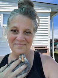 Sighting, a LOT of them. Baby Turkey. With Brian Mayberry