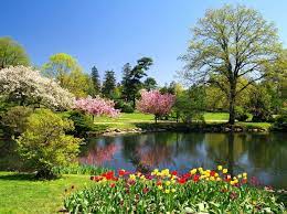 Maybe you would like to learn more about one of these? Binney Park Old Greenwich Ct Spring Pictures Spring Scenery Spring Photography
