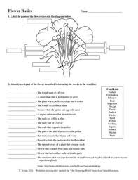 Plant Reproduction Worksheet Science Classroom Worksheets Study Materials