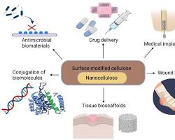 Image of biomaterial
