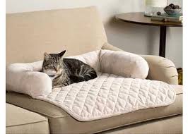 Kedi Yatagi Cama Asilan