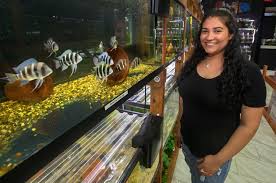 At aquatic technology we strive to provide the best possible service, marine live stock, aquarium supplies and marine and reef aquarium supplies and marine aquarium maintenance at the best possible price. Woman Opens Badfish Florida Freshwater Aquarium Business Amid Pandemic