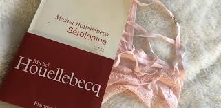 On doit cette initiative au juriste florent gallaire, qui, considérant que le livre a été publié sous licence libre car il. Michel Houellebecq Biographie Lecteurs Com