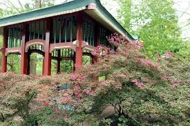 In zeiten von corona stehen die sicherheit und die gesundheit unserer gäste und unseres personals an erster stelle. Botanischer Garten Und Botanisches Museum Berlin Dahlem Freizeitmonster