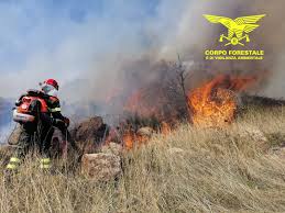 Incendi in sardegna, il governatore solinas: Ancora Fiamme In Sardegna 23 Gli Incendi Oggi Cagliari Vistanet