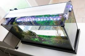 Finnex Planted 24 7 Hlc Aquarium Light Review Spec Tanks