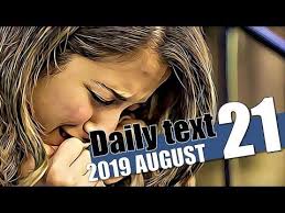 Memories are capricious and fleeting in the digital age