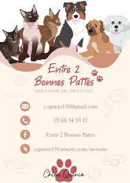 Chloé QUINIO - Entre 2 Bonnes Pattes