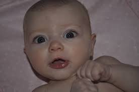 December-January 1, 2016