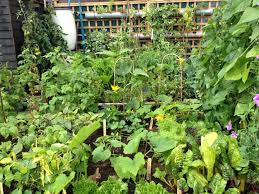 There are many in both cases whose. Raised Bed Garden Layout Plans The Old Farmer S Almanac