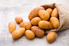 Unsicherheit herrscht jedoch häufig darüber, wann die kartoffeln geerntet werden sollen und wie dabei richtig vorgegangen wird. Wann Werden Kartoffeln Geerntet Erntezeit Und Die Richtige Lagerung