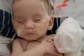 Fundraiser for Christopher Mckenna by Michael Shannon : 5 month old has  Dilated Cardiomyopathy