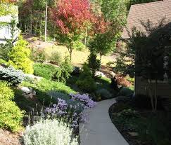 Hangbepflanzung Planen Welche Bodendecker Eignen Sich Bepflanzung Bodendecker Und Boschung Bepflanzen