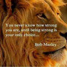 Lion quotes me quotes motivational quotes inspirational quotes great quotes quotes to live by leadership warrior quotes lion of judah victims think defeated, victors see a way out, proverbs 23:7 says, for as he thinks in his heart, so is he!! Pin By Manish Soni On Quotes That I Love Bob Marley Quotes Lion Quotes Bob Marley