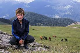 Ala tokel 257.259 views2 year ago. Itirafci Oldu Tek Tek Anlatti Eren Bulbul Un Vuruldugunu