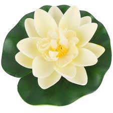 Fiori lilla in primavera, va in ibernazione chiudendosi in una sorta di bocciolo in inverno. Piante Acquatiche Artificiali Serbatoio Di Acquario Di Plastica Piante Di Decorazione Verde 6 Pz Piante E Fiori Artificiali Casa E Cucina