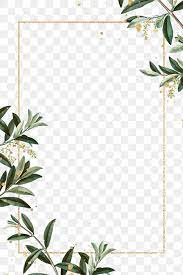 Olive Branches Frame Png Hand Drawn Border Design Space Free Image By Rawpixel Com Ningzk V Floral Border Design Frame Border Design Hand Drawn Border