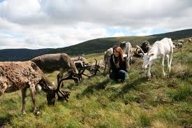 เกาะ arran (isle of arran) 4. à¸‚ à¸šà¸£à¸–à¹€à¸— à¸¢à¸§ Lake District Highlands Scotland à¸ªà¸–à¸²à¸™à¸— à¸— à¸­à¸‡à¹€à¸— à¸¢à¸§à¸—à¸²à¸‡à¸˜à¸£à¸£à¸¡à¸Šà¸²à¸• à¹ƒà¸™ Uk Vow S Life Less Ordinary