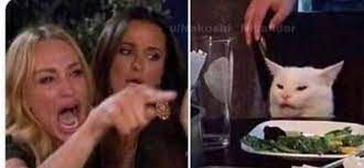 Cat At Table Meme Generator Imgflip