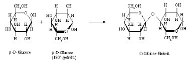 Cellobiose binding (reactant), cellobiose metabolic process (participant), cellobiose catabolic process (reactant). Cellobiose