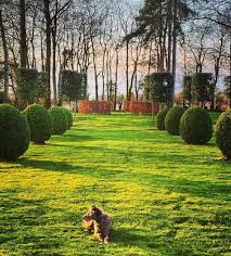 Habitually Chic Instagram Chic Lesley Cooke In 2020 Stone Patio Designs Pergola Designs Patio Stones