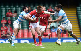 The argentina national rugby union team played its first international match in 1910 against a touring british isles team. Wales Miss Last Gasp Kick To Draw Test With Argentina Reuters